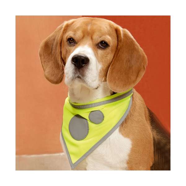 Karlie Safety Dog Sicherheitshalstuch - Gelb - 38-50cm / 25mm